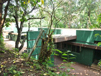 IPM Jungle Residency